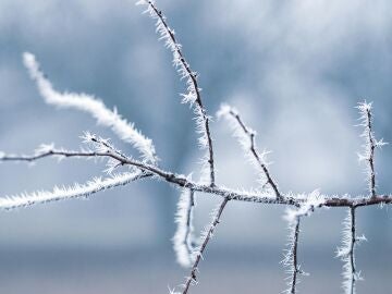 Imagen de archivo de la nieve. 