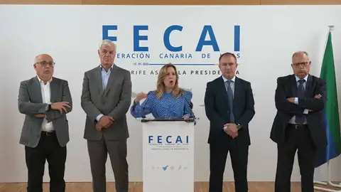 Los Cabildos insulares piden soluciones urgentes ante la crisis migratoria Los Cabildos insulares piden soluciones urgentes ante la crisis migratoria