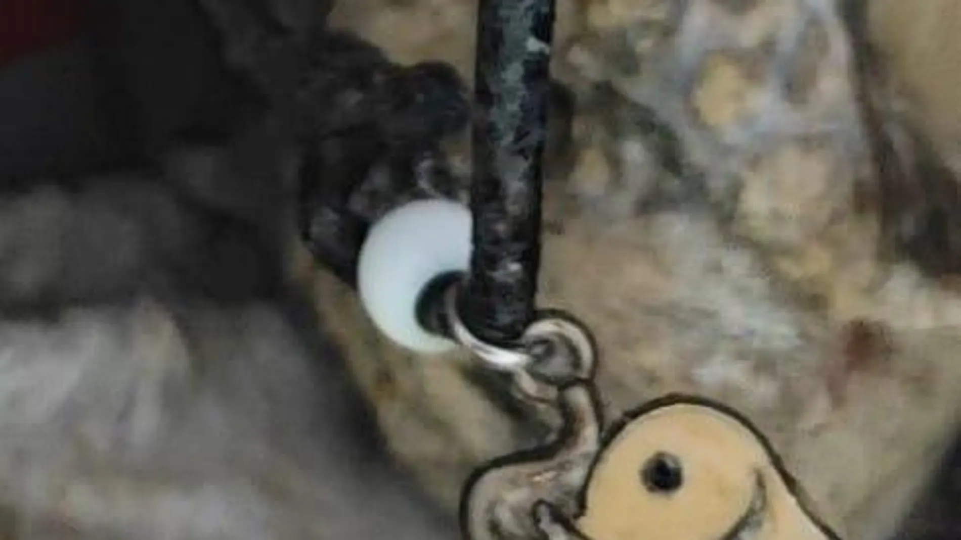 Se busca la identificación del cuerpo sin vida de un varón que fue encontrado flotando en el mar Se busca la identificación del cuerpo sin vida de un varón que fue encontrado flotando en el mar