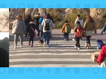 Madre beb&eacute; atropellado