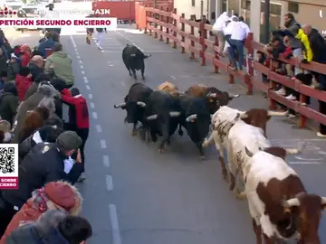 Así ha sido el segundo encierro blanco Así ha sido el segundo encierro blanco
