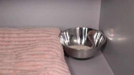 &iquest;Funciona poner un cuenco de arroz en el armario en invierno?