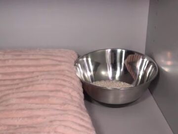 &iquest;Funciona poner un cuenco de arroz en el armario en invierno?