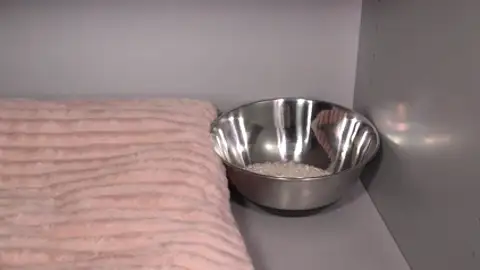 ¿Funciona poner un cuenco de arroz en el armario en invierno? ¿Funciona poner un cuenco de arroz en el armario en invierno?