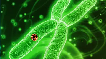 Detección del cáncer en el ADN Detección del cáncer en el ADN