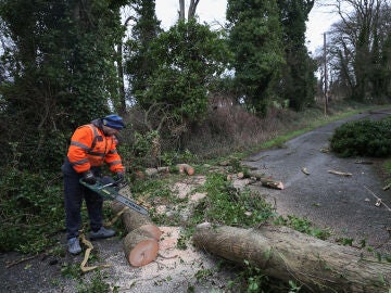 Imagen de un hombre que trabaja en la retirada de un árbol que cayó tras el azote de la tormenta Eowyn en el condado de Kilteel, Kildare, Irlanda.