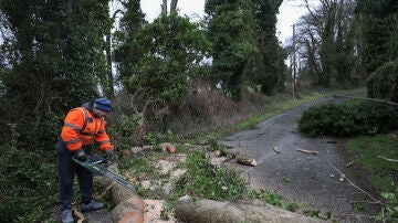 Imagen de un hombre que trabaja en la retirada de un árbol que cayó tras el azote de la tormenta Eowyn en el condado de Kilteel, Kildare, Irlanda.