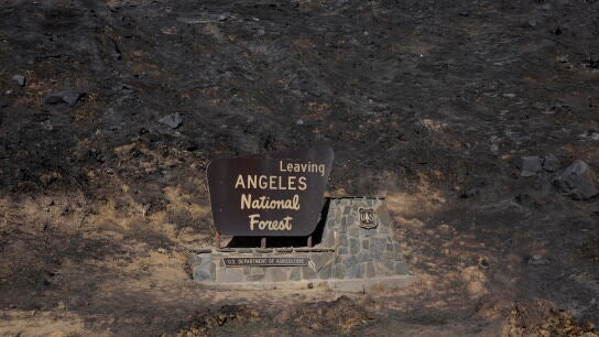 Incendio en Los &Aacute;ngeles.