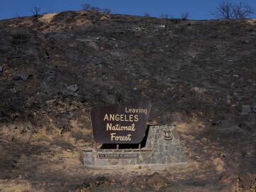 Incendio en Los Ángeles.