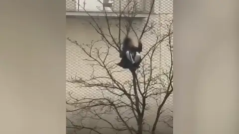 Un joven encaramado a un árbol en Santander en plena borrasca Herminia Un joven encaramado a un árbol en Santander en plena borrasca Herminia
