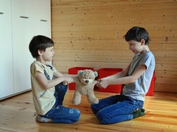 Dos hermanos tirando por un mismo peluche