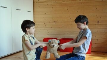 Dos hermanos tirando por un mismo peluche