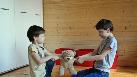 Dos hermanos tirando por un mismo peluche Dos hermanos tirando por un mismo peluche