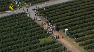 Momento de la operación de la Guardia Civll contra tres personas son investigadas por explotación laboral en una finca agrícola de Lugo Momento de la operación de la Guardia Civll contra tres personas son investigadas por explotación laboral en una finca agrícola de Lugo
