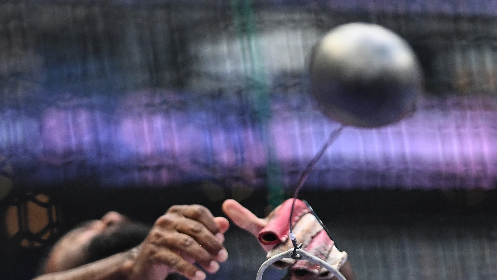 Imagen de la competición de lanzamiento de martillo en los JJOO de París 2024 Imagen de la competición de lanzamiento de martillo en los JJOO de París 2024