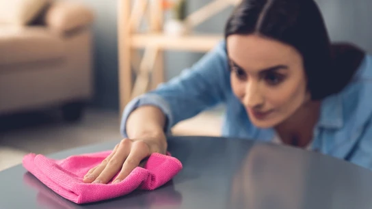 Mujer limpiando el polvo Mujer limpiando el polvo