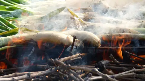 Calçots a la brasa Calçots a la brasa