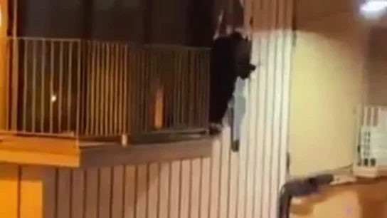 Detenido un okupa en Badalona mientras intentaba entrar a martillazos en una vivenda Detenido un okupa en Badalona mientras intentaba entrar a martillazos en una vivenda