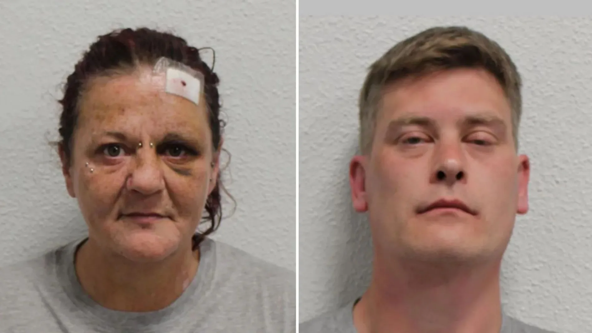 Imagen de Gemma Watts y de Steven Sansom. Imagen de Gemma Watts y de Steven Sansom.