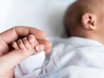 Mano de un bebé Mano de un bebé