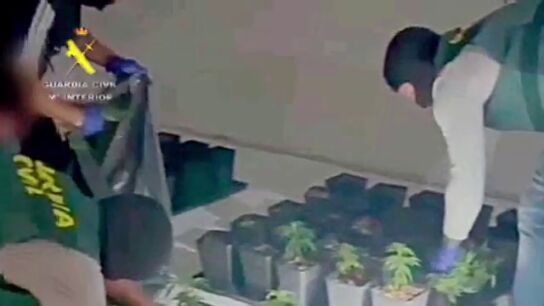 Clausuran tres laboratorios industriales de cultivo y elaboraci&oacute;n de drogas en el sur de Tenerife