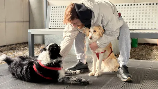 Tobo y Cata, dos border collie, con su dueño Tobo y Cata, dos border collie, con su dueño
