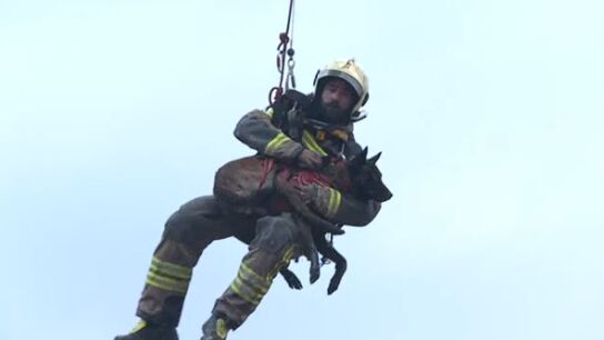 Rescate de un perro en el incendio de Basauri