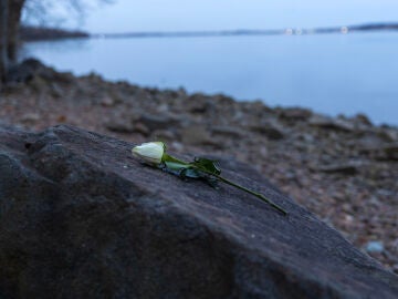 Una flor descansa a orillas del río Potomac, cerca del sendero Mount Vernon en Alejandría, un conmovedor recordatorio después de la trágica colisión en el aire entre un avión de American Airlines y un helicóptero Black Hawk del ejército.