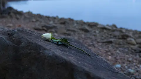 Una flor descansa a orillas del río Potomac, cerca del sendero Mount Vernon en Alejandría, un conmovedor recordatorio después de la trágica colisión en el aire entre un avión de American Airlines y un helicóptero Black Hawk del ejército. Una flor descansa a orillas del río Potomac, cerca del sendero Mount Vernon en Alejandría, un conmovedor recordatorio después de la trágica colisión en el aire entre un avión de American Airlines y un helicóptero Black Hawk del ejército.