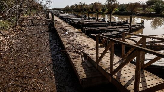Restos de la DANA en el Puerto de Catarroja de la Albufera,