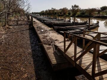 Restos de la DANA en el Puerto de Catarroja de la Albufera,
