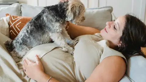 Perro y embarazada Perro y embarazada