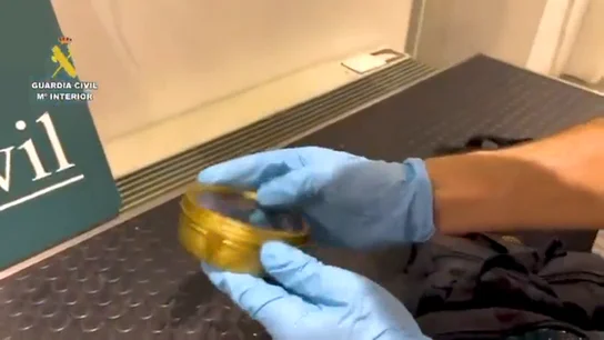 Beluga ilegal Beluga ilegal