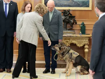 La reina Sofía saludando a un perro en el Palacio de la Zarzuela La reina Sofía saludando a un perro en el Palacio de la Zarzuela