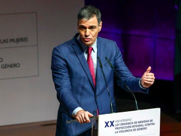 Pedro Sánchez, en un acto por los 20 años de la ley de violencia de género