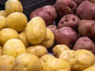 Patatas y Boniatos Patatas y Boniatos