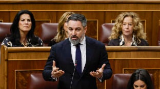 Santiago Abascal en el Congreso