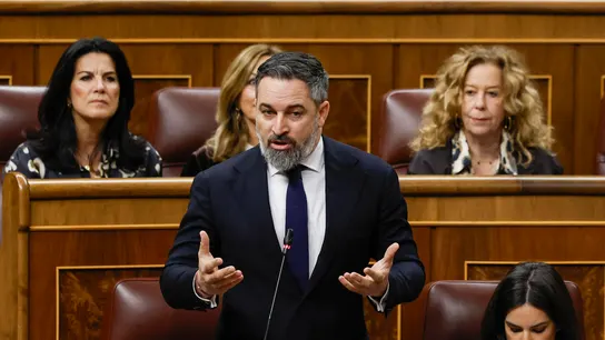 Santiago Abascal en el Congreso Santiago Abascal en el Congreso