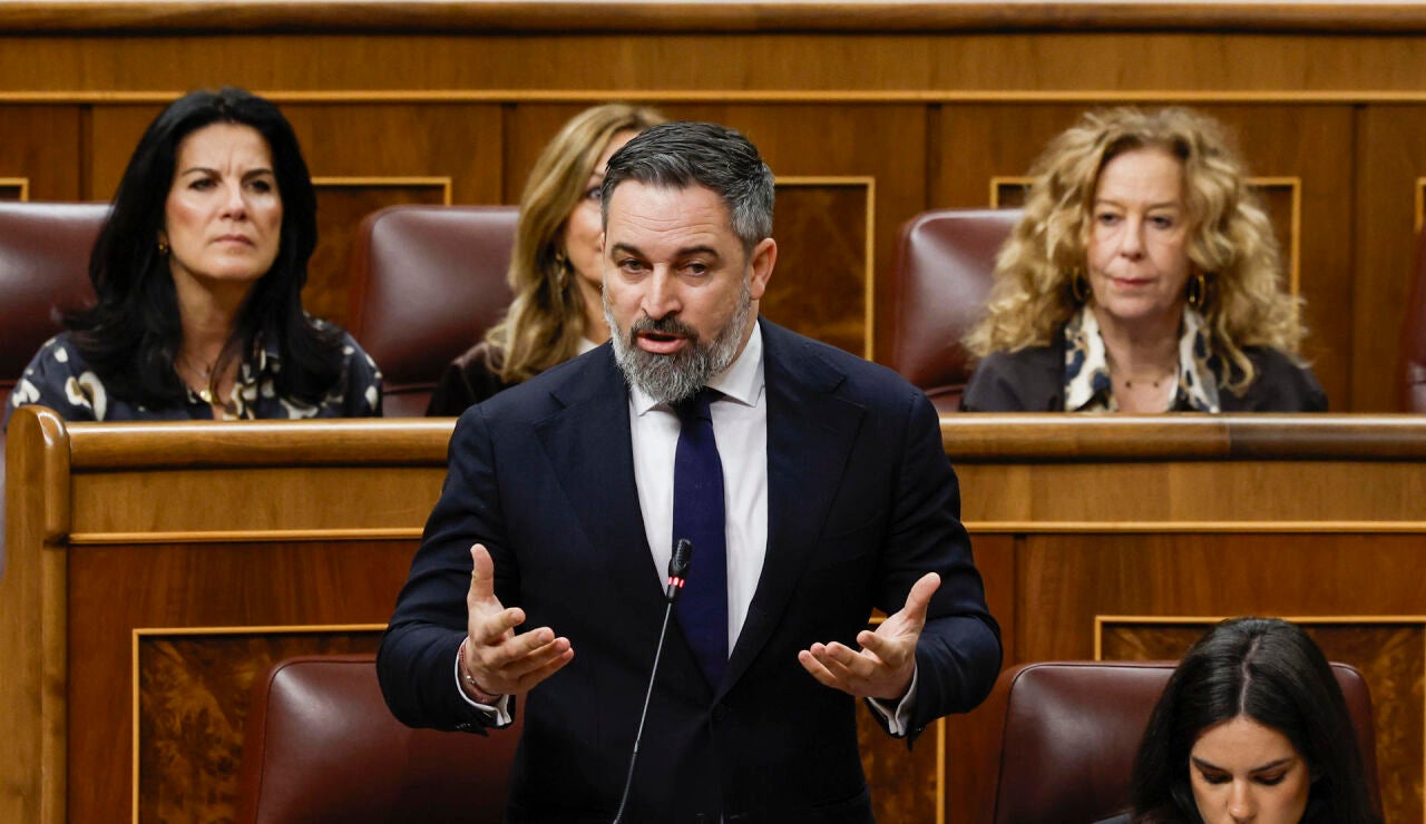 Santiago Abascal en el Congreso