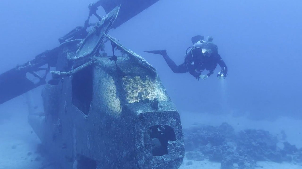 El Fotógrafo Español Álvaro Herrero, Elegido Mejor Fotógrafo Subaculico del Mundo El Fotógrafo Español Álvaro Herrero, Elegido Mejor Fotógrafo Subaculico del Mundo