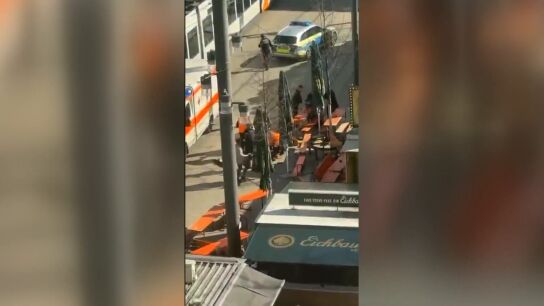Atropello Alemania