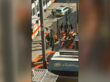 Atropello Alemania
