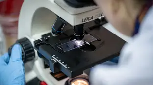 Imagen de archivo de una mujer mirando por un microscopio en un laboratorio. Imagen de archivo de una mujer mirando por un microscopio en un laboratorio.