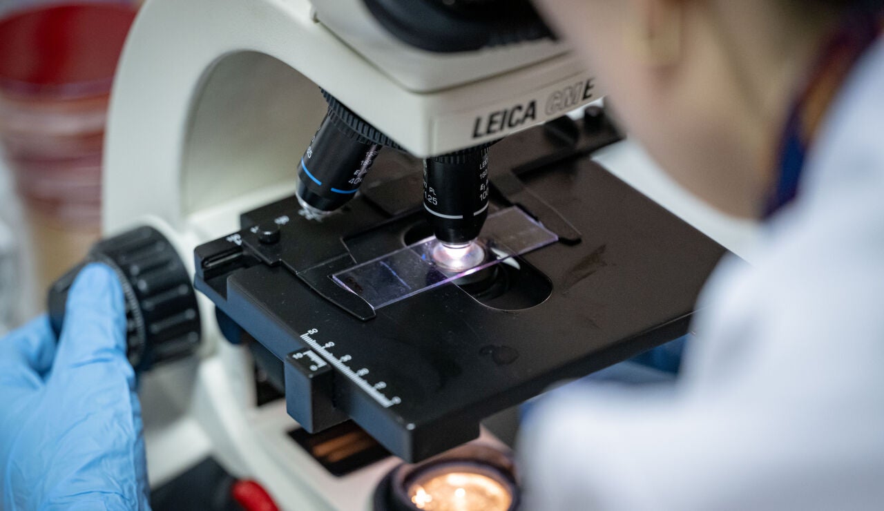 Imagen de archivo de una mujer mirando por un microscopio en un laboratorio.
