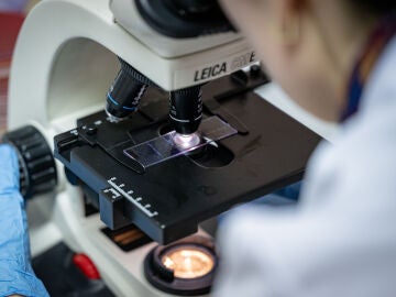 Imagen de archivo de una mujer mirando por un microscopio en un laboratorio.