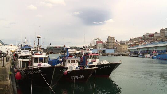 Sector pesquero