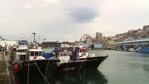 Sector pesquero Sector pesquero