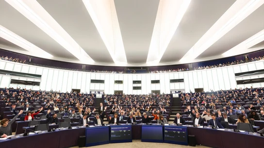 Votación en el pleno del Parlamento Europeo en Estrasburgo Votación en el pleno del Parlamento Europeo en Estrasburgo