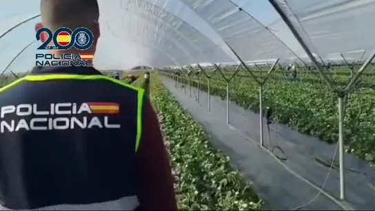 Los beneficiarios cobraban tras abandonar España las prestaciones y subsidios sin comunicarlo Los beneficiarios cobraban tras abandonar España las prestaciones y subsidios sin comunicarlo