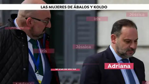 Caso Koldo. Caso Koldo.